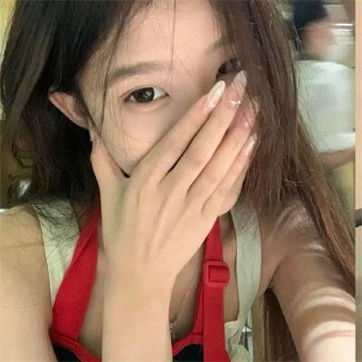 与鲨同游